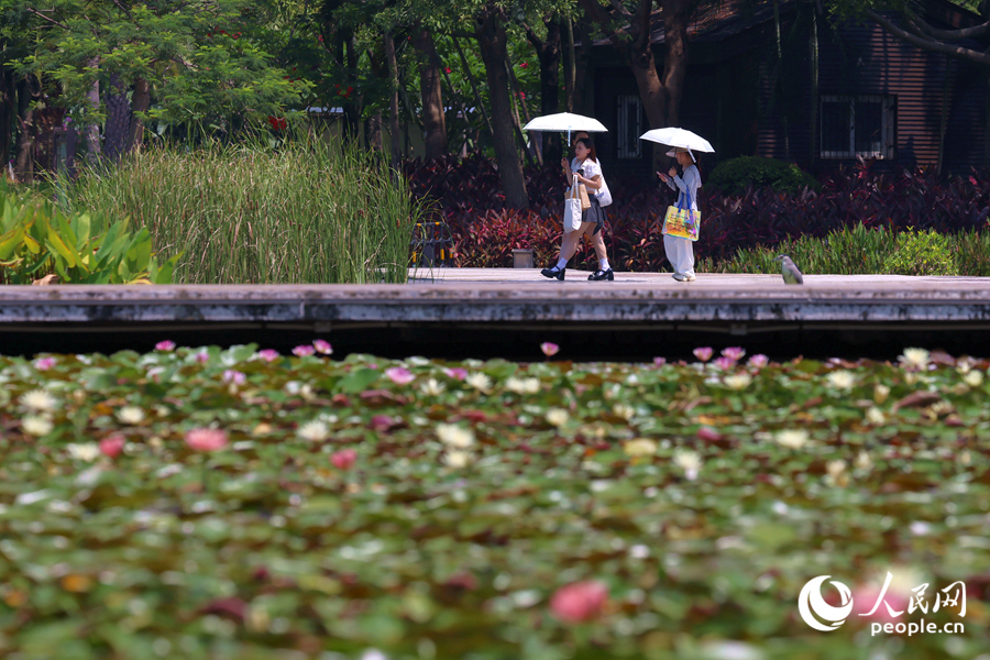 市民游客漫步于蓮池廊道。人民網(wǎng)記者 陳博攝
