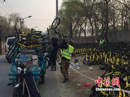有故障的共享單車正源源不斷地送到維修點。<a target='_blank'  _fcksavedurl='http://www.chinanews.com/' ></table>中新網(wǎng)</a> 吳濤 攝